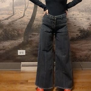 Elizabeth and James size 26 wide leg jeans